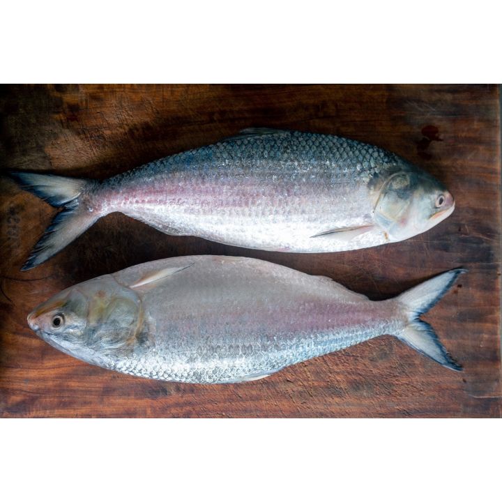 Fresh%20Hilsha%20Fish%20900g%20(%C2%B150g)%20%E2%80%93%20Premium%20Quality%20-%20Image%203