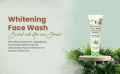 YC Whitening Face Wash Aloe Vera Extract 100ml (Thailand).