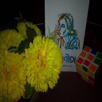 Porinita%20by%20Saratchandra%20Chattopadhyay%20(Paperback)%20-%20Porinita%20Book%20-%20Porineeta%20-%20Image%206