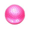 Yoga Ball with Pumper  Multicolor (75 cm) - Pimpled/ Guti/ dotted - Citizen Sports. 
