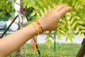 Adjustable Handmade String Bracelet Amulet Jewelry Handcrafted Braided Bracelet Adjustable Friendship String Jewelry Luck Charm. 