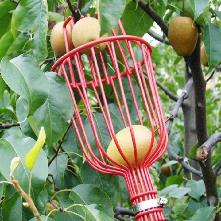 Outdoor%20Deep%20Basket%20Garden%20Tools%20Fruit%20Picker%20Head%20Metal%20Fruit%20Picking%20Tools%20Fruits%20Catcher%20Harvest%20Picking%20-%20Image%207