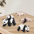 panda Model 4 Stages of Panda Playset Science Educational Toys Animal Growth Cycle Models. 