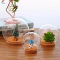 3pcs Glass Ball Shaped Cover Landscape Terrarium Container Lid Vase Bottle. 