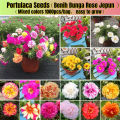 Global Mix 10 Colour Portulaca/moss rose  Flower 50 pcs Seeds. 