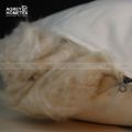 Shimul Fiber Head Pillow, Cotton Fabric, White (18"x24") 1 Pcs.