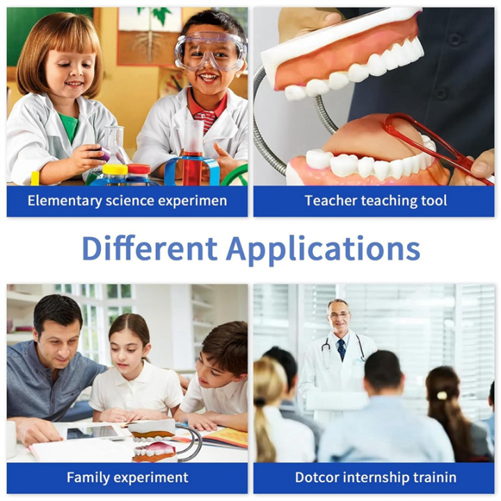 Teeth%20Mouth%20Model%206X%20Enlarged%20with%20Metal%20Hinge,%20Complete%20Set%20Teeth%20and%20Removable%20Tongue,%20PVC%20Speech%20Therapy%20Tool,%20Durable%20Fine%20Workmanship%20-%20Image%205