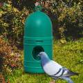 Large Capacity Parrot Water Dispenser Breeding Water Pot with Hanging Handles Pigeon Drinker Green. 