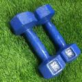 Blue Dumbbell 5 KG.
