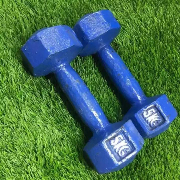 Blue Dumbbell 5 KG