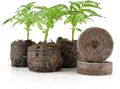 Peat Pellets 50mm -10 PCS Large Pellets - Seeds Starting - Jiffy Peat Pellet Helps to Avoid Root Shock. 