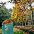 270L Garden Waste Bag Large Strong Waterproof Heavy Duty Reusable Foldable Rubbish Grass Sack - green. 