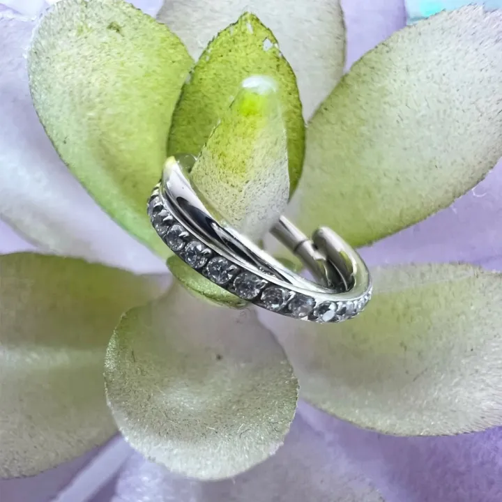 G23%20Titanium%20Implant%20Grade%20Hinged%20Seamless%20Earrings%20Clicker%20Hoop%20Ring%20for%20Cartilage%20Helix%20Rook%20Septum%20Daith%20Tragus%20Conch%20-%20Image%202