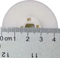 Preethi Motor Coupler Mixer Grinder Jar Blender Motor Coupler 4CM 4 Teeth Round No Screw White. 
