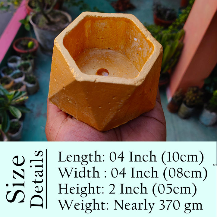 Bowl%20Shape%20Golden%20Color%20Concrete%20Made%20Mini%20Flower%20Tob%20of%20Show%20Peace%20-%2001%20pcs%20/%20%E0%A6%B8%E0%A7%8B%E0%A6%A8%E0%A6%BE%E0%A6%B0%20%E0%A6%AC%E0%A6%BE%E0%A6%9F%E0%A6%BF%20/%20%E0%A6%B8%E0%A6%BF%E0%A6%AE%E0%A7%87%E0%A6%A8%E0%A7%8D%E0%A6%9F%E0%A7%87%E0%A6%B0%20%E0%A6%A4%E0%A7%88%E0%A6%B0%E0%A6%BF%20%E0%A6%AC%E0%A6%BE%E0%A6%9F%E0%A6%BF%20%E0%A6%B6%E0%A7%87%E0%A6%AA%E0%A7%87%E0%A6%B0%20%E0%A6%B8%E0%A7%8B%E0%A6%A8%E0%A6%BE%E0%A6%B2%E0%A6%BF%20%E0%A6%B0%E0%A6%99%20%E0%A6%AC%E0%A7%9C%20%E0%A6%B8%E0%A6%BE%E0%A6%87%E0%A6%9C%20%E0%A6%AB%E0%A7%81%E0%A6%B2%E0%A7%87%E0%A6%B0%20%E0%A6%9F%E0%A6%AC%20%E0%A6%AC%E0%A6%BE%20%E0%A6%B6%E0%A7%8B-%E0%A6%AA%E0%A6%BF%E0%A6%9A%20-%20Image%203