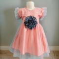 Baby Girls Fashion Sleeveless Flower Party Dress Newborn 0-7 YEARS. 
