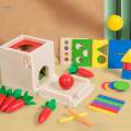 Wooden Montessori Baby Toys Early Learning Object Permanence Box 5 in 1 for Kids Children Boys Girls.