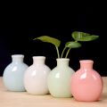 Cute Ceramic Flower Vase Mini Solid Color Desktop Vase Crafts Decorative Home Garden.