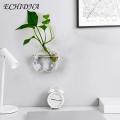 Exceotional Quality - ECHIDNA Flower Planter Pot Water Drop Wall Hanging Glass Flower Vase - Sustainable Option - Expression of Yourself.