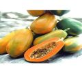 (All Season) Organic Papaya Fruit Seeds- 10 Pcs Seeds. 