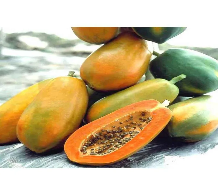 (All%20Season)%20Organic%20Papaya%20Fruit%20Seeds-%2010%20Pcs%20Seeds%20-%20Image%203