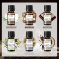EUQEE 6pcs/set Fragrance Oil Gift Kit For Diffuser Coffee Bakery Harvest Spice Pumpkin Pie Forest Pine Sweet Fruit Aroma Oils. 
