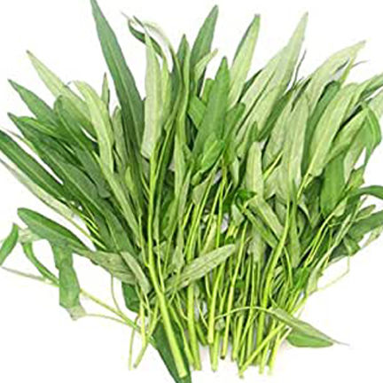 Water%20Spinach%20Seeds-%20100+%20pieces%20(Intek%20Packet)%20%E0%A6%95%E0%A6%B2%E0%A6%AE%E0%A6%BF%20%E0%A6%B6%E0%A6%BE%E0%A6%95%E0%A7%87%E0%A6%B0%20%E0%A6%AC%E0%A7%80%E0%A6%9C%20-%20Image%202