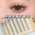 Eyelash Wish Caramel Guppy False Eyelashes Lazy Trilogy Eyelashes Wholesale Mixed Pack Segmented Fairy Hair. 