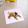 Dog Cooling Mat Dog Bed Sleeping Pad Cooling Cushion for Car Puppy Floor Outdoor , pink XL. 