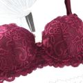 Sexy Bra Foam & Net Bra Pushup Bra - Bra. 