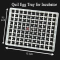 5 pcs 99 Quail Eggs Setter Trays for Birds and Quail Eggs Incubator Setting Tray. 