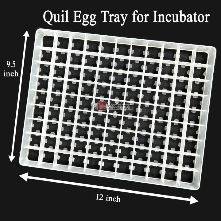 5%20pcs%2099%20Quail%20Eggs%20Setter%20Trays%20for%20Birds%20and%20Quail%20Eggs%20Incubator%20Setting%20Tray%20-%20Image%205