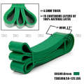 Heavy Workout  Lopp Resistance Band 50-125 Lbs _ Green - Resistance Band. 
