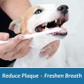 Bioline Dental Kit for Dogs Beef/Orange Flavor Toothpaste & Toothbrush Pet Oral Teeth Cleaning Set Double.
