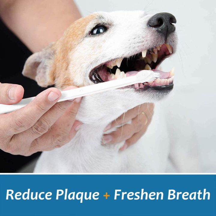 Bioline%20Dental%20Kit%20for%20Dogs%20Beef/Orange%20Flavor%20Toothpaste%20&%20Toothbrush%20Pet%20Oral%20Teeth%20Cleaning%20Set%20Double%20-%20Image%203