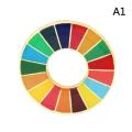 Enamal 17 Colors Sustainable Development Goals Brooch United Nations SDGs Pin. 