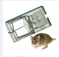 Rat Trap Reusable Stainless Stell 2 Pcs.