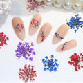 Flower Nail Art Decoration Real Mini Dried Blossom Natural Floral Stickers Nail Charms DIY Manicure Nails Accessories Home Salon MIO Super Store. 