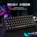 61-key blue switch true mechanical mini keyboard wired TYPE-C split hot-swappable mixed-light gaming keyboard.