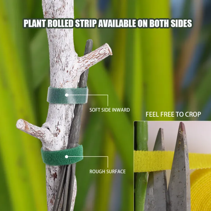 1/4Roll%202M%20Green%20Garden%20Twine%20Plant%20Ties%20Bamboo%20Cane%20Wrap%20Support%20Nylon%20Plants%20Bandage%20Fastener%20Tape%20Hook%20Loop%20Garden%20Accessories%20-%20Image%203