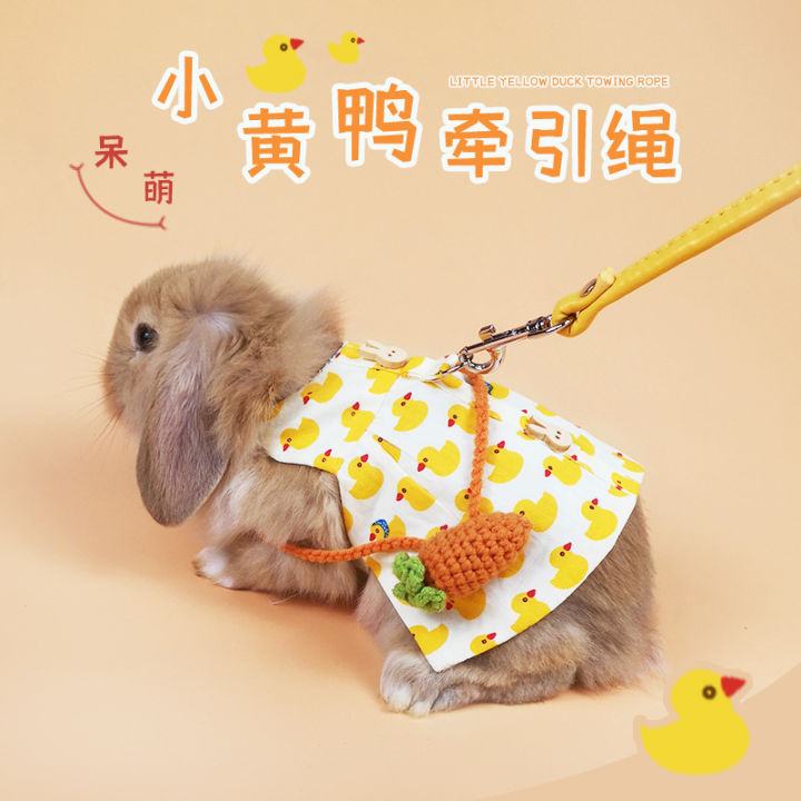 Rabbit clothing traction Dutch pig with drooping ears, clothing, hat accessories, going out for a walk, rabbit rope, little yellow duck