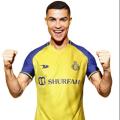 Football Jersey Al Nassr Thi Premium - Jersey.