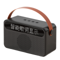 Protable Bluetooth Speaker with Lyrics Display Speaker Black. 