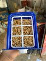Premium Bird Food Pot – Durable & Easy to Clean Feeder (1pcs) | Bangladesh. 