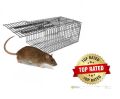 Rat & Mouse Catching Trap.
