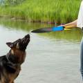Dog No Biting Sticks Dog Bite Training Stick for Small Medium Dogs Training Yellow. 