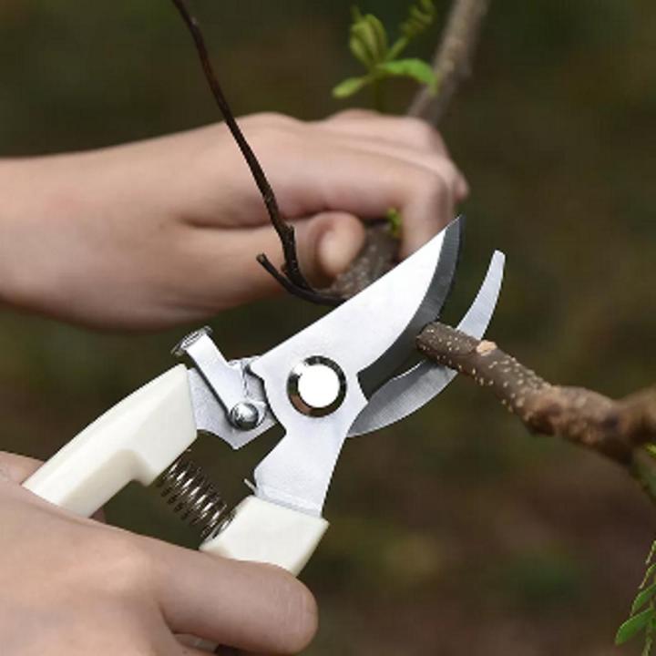 Pruner Made in china