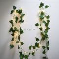 Leaf Fairy String Light, Artificial Pata - Light Decoration - fairy lights for room decoration.