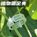 Plant Clip Supports Reusable Plastic Connects Fixing Vine Vegetable Plants Orchard and garden Tools.