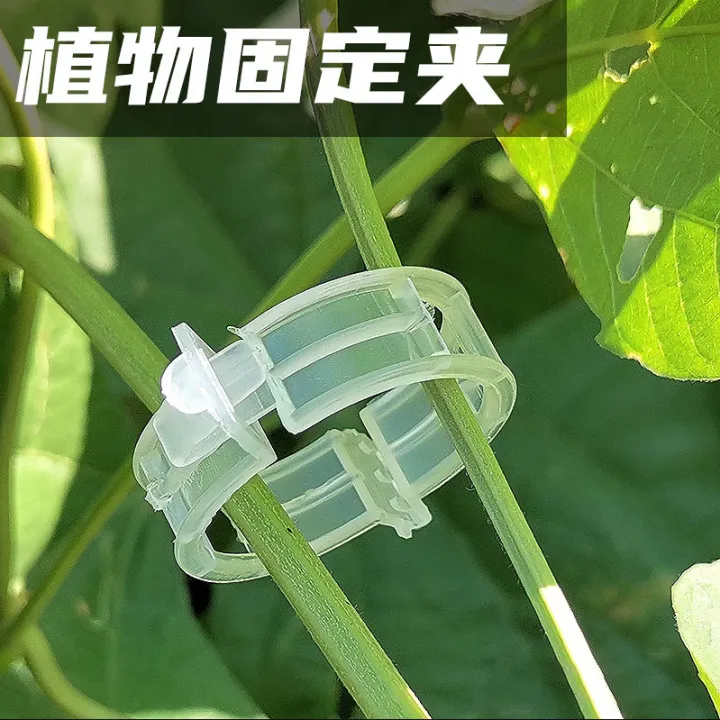 Plant%20Clip%20Supports%20Reusable%20Plastic%20Connects%20Fixing%20Vine%20Vegetable%20Plants%20Orchard%20%20and%20garden%20Tools%20-%20Image%204